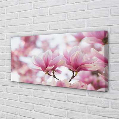 Fototryck canvas Magnolia träd