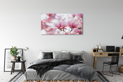 Fototryck canvas Magnolia träd