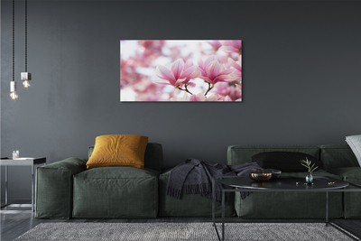 Fototryck canvas Magnolia träd