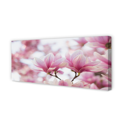 Fototryck canvas Magnolia träd