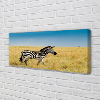 Canvas bild Zebrafält