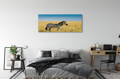 Canvas bild Zebrafält