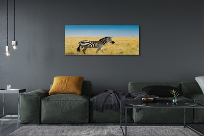 Canvas bild Zebrafält