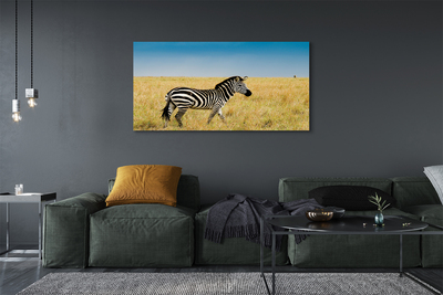 Canvas bild Zebrafält