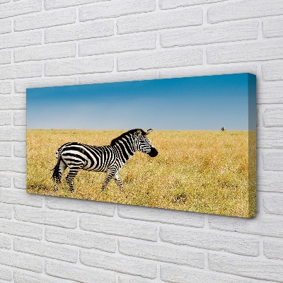 Canvas bild Zebrafält