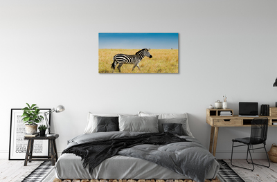 Canvas bild Zebrafält