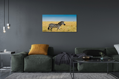 Canvas bild Zebrafält