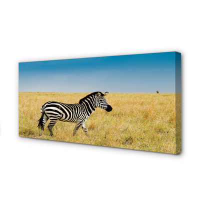 Canvas bild Zebrafält