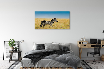 Canvas bild Zebrafält