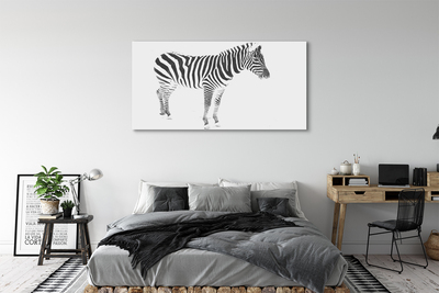 Canvastavla foto Målad zebra