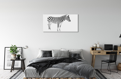 Canvastavla foto Målad zebra