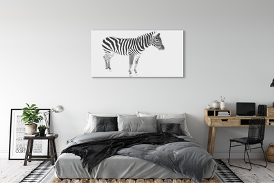 Canvastavla foto Målad zebra