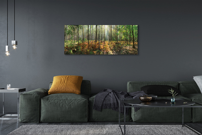 Fototryck canvas Skog av björkträd