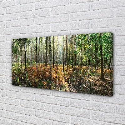 Fototryck canvas Skog av björkträd