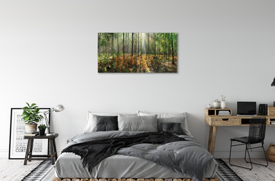 Fototryck canvas Skog av björkträd