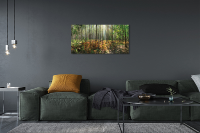 Fototryck canvas Skog av björkträd