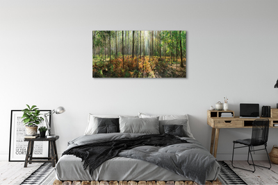 Fototryck canvas Skog av björkträd