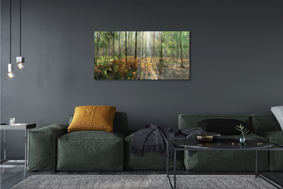 Fototryck canvas Skog av björkträd