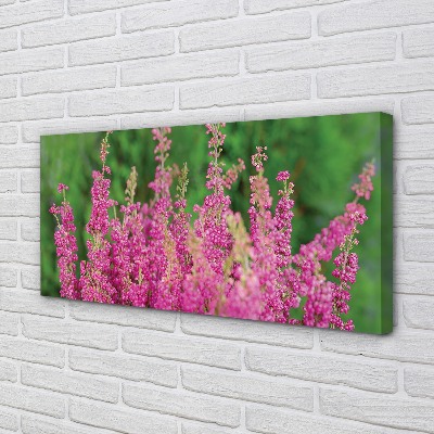 Fototryck canvas Ljungblommor