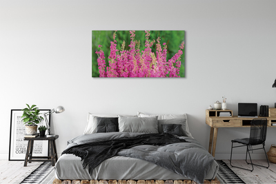 Fototryck canvas Ljungblommor