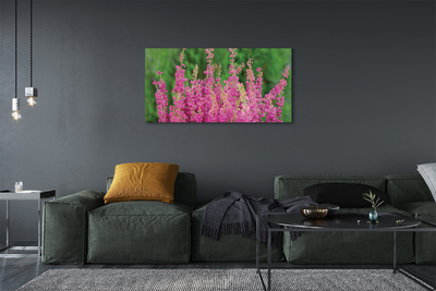 Fototryck canvas Ljungblommor