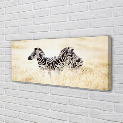 Bild på canvas Zebrafält