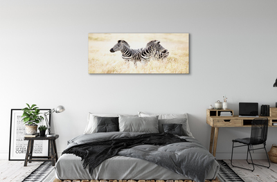 Bild på canvas Zebrafält