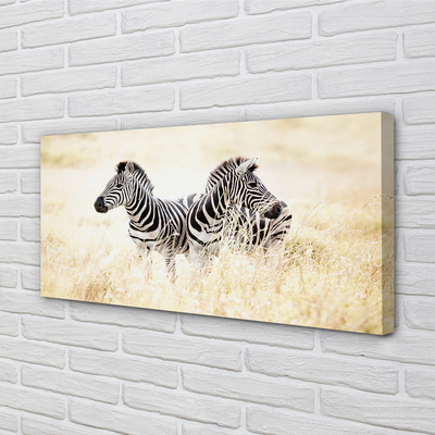 Bild på canvas Zebrafält