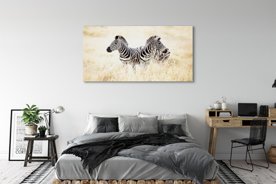 Bild på canvas Zebrafält