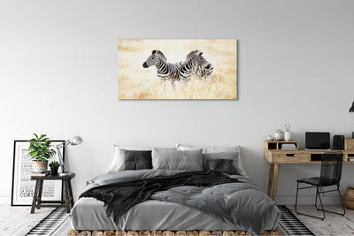 Bild på canvas Zebrafält