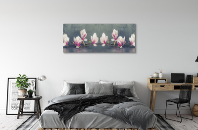 Canvas bild Magnolia gren