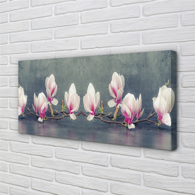 Canvas bild Magnolia gren