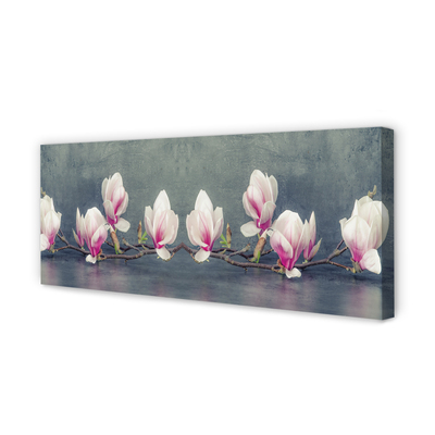 Canvas bild Magnolia gren