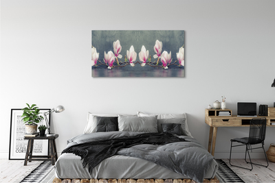 Canvas bild Magnolia gren