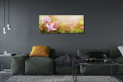 Fototryck canvas Magnoliaträdsol