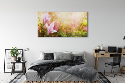 Fototryck canvas Magnoliaträdsol