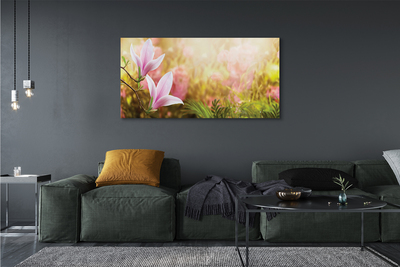 Fototryck canvas Magnoliaträdsol