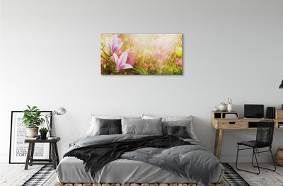 Fototryck canvas Magnoliaträdsol