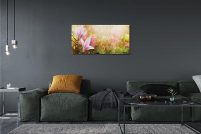 Fototryck canvas Magnoliaträdsol