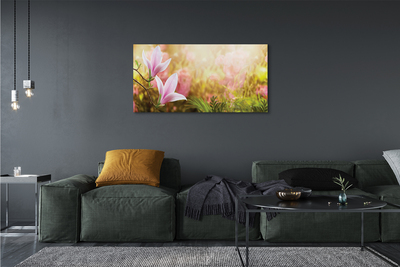 Fototryck canvas Magnoliaträdsol