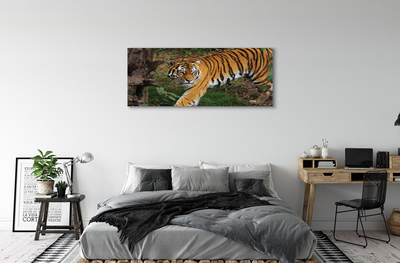 Canvas bild Skogtiger