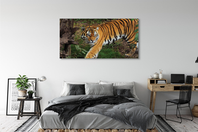 Canvas bild Skogtiger