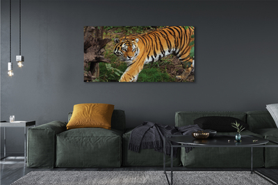 Canvas bild Skogtiger