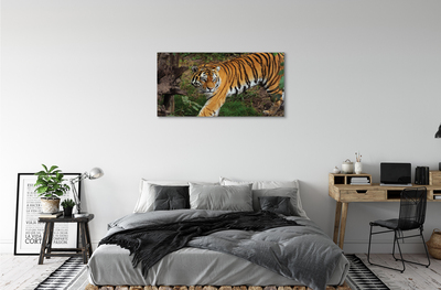 Canvas bild Skogtiger