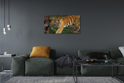 Canvas bild Skogtiger