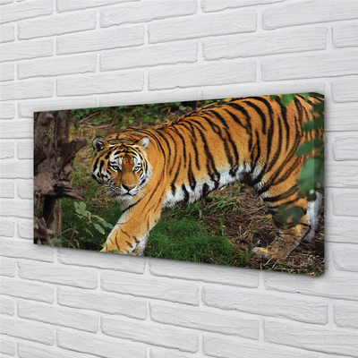 Canvas bild Skogtiger