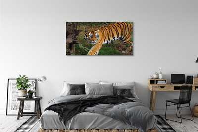 Canvas bild Skogtiger