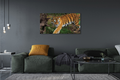 Canvas bild Skogtiger