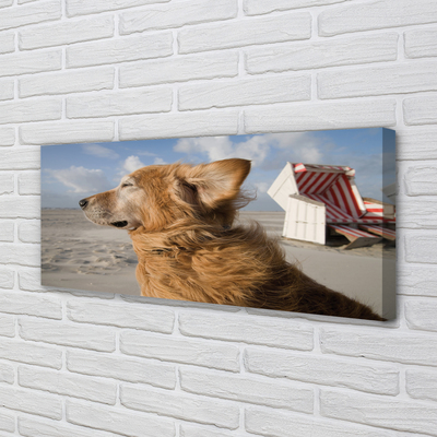 Canvas bild Brun strandhund