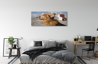 Canvas bild Brun strandhund